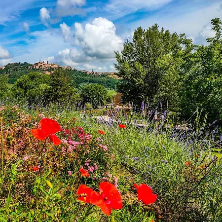 Fonte Martino & Estate